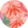 yoyoisbetterthenu - @leah_purdy1 - TikTok