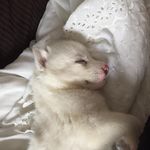 Leah Rayner - @rayner8065 - Instagram