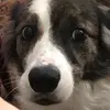 Leah - @leahring2 - TikTok