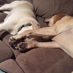 Leah Ringer - @leahringer - Instagram