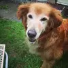 Leah Schroeder - @leah.schroeder5 - TikTok