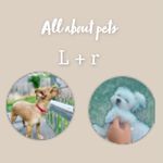 Leah and Rowan - @all_about_pets_rl - Instagram