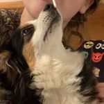 Leah Roy - @dixie_chick_2019 - Instagram