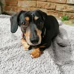 Leah Milton - @leahruby14 - Instagram