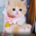 Leah Samson - Facebook