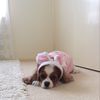 Leah.Sanderson123 - @leah.sanderson123 - TikTok