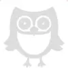 leahsandersonn33 - @leahsandersonn33 - TikTok