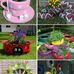Leah Saxton - Facebook