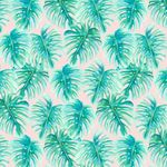 leah schäfer - @kaktus_love_21000664 - Instagram