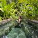 Leah Schilling - Facebook