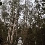leah~ - @leah.shahana - Instagram