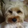 leahsheen380 - @leahsheen380 - TikTok