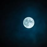Lea Shumaker - @blueofmoons - Instagram
