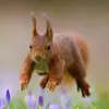 Leah Sikes815 - @leahsikes0 - TikTok