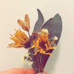 Leah Small - @small_bundles - Instagram