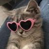♡ aaliyah.bby ꒰๑˃̵ᴗ˂̵꒱ - @small._.leah - TikTok