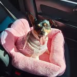 leah rose snook Boyd Dooley - @leahrosesnookboyd - Instagram