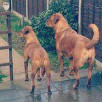 Leah Soper - @geebsofthesticks - Instagram