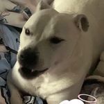Leah - @leah.spencer06 - Instagram