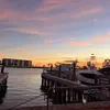 leahspringer50 - @leahspringer50 - TikTok