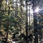 Leah Stack - @leahwiththegoodlight - Instagram