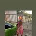 Leah Stapleton - Facebook