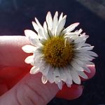 Leah._.stringer - @leah_stringer_photography_13 - Instagram