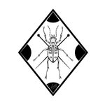 Leah Switzer - @entomology_nerd - Instagram