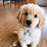 Leah Todd - @leah.todd.777 - Instagram