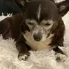 leahvarelaaa - @leahevarela - TikTok