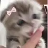 leahvelez - @leahanavelez - TikTok