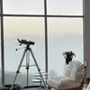Leah.Waldorf - @leah.waldorf - TikTok