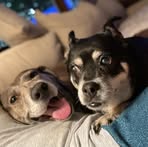Leah Warrington - Facebook