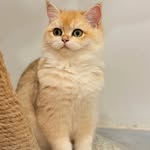 @leahwelch71363g5x - Instagram
