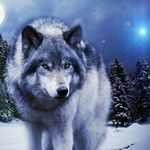 Leah Weston - @weston_leah - Instagram