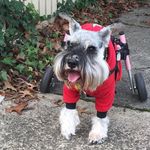 Lea Worrell - @lea_worrell - Instagram