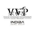 Leah Wright, Veterinary Physiotherapy MIRVAP - @vulcanvetphysio_ - Instagram