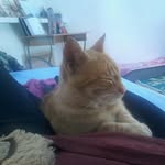 lea - @lea_labelle59790lille - Instagram