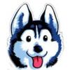 Leandra Castillo - @paulahusky2020 - TikTok