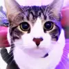leandralewis31 - @leandralewis31 - TikTok