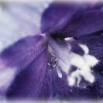 Leandra Martinson - @leandralynn97 - Instagram