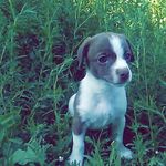 Leandra Miller - @leandramiller477 - Instagram