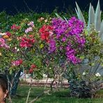 Leandra Ortega - Facebook