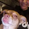 leandraortega7 - @leandraortega7 - TikTok