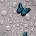 Leandra Perez - Facebook