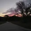 Leandra Roberts - @leandraroberts13 - TikTok
