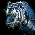 leandreventer - @leandre101lielieq - Instagram