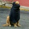 Leandro Alejandro - @leouchiha19 - TikTok