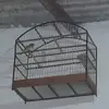 Leandro Amaro - @leandro.amaro302 - TikTok