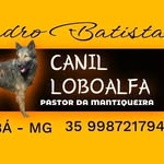 Leandro Batista - @canilloboalfa - Instagram